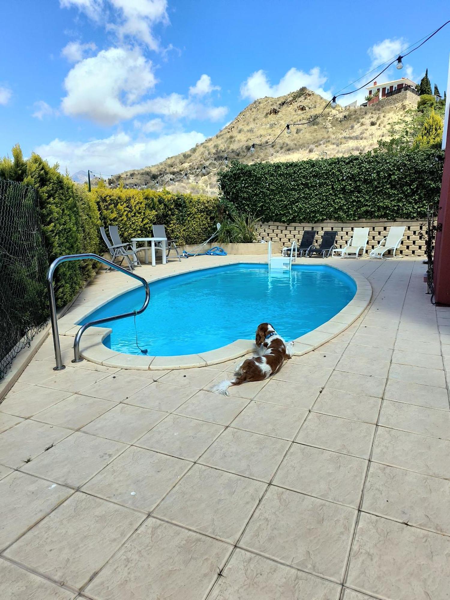 Villa Alicante - Bonalba Golf Mutxamel Bagian luar foto
